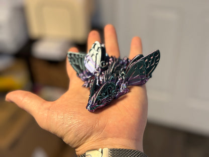 Baby Butterfly Dragon Fidget!