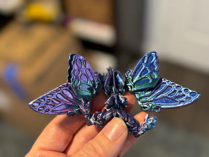 Baby Butterfly Dragon Fidget!