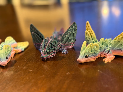 Baby Butterfly Dragon Fidget!