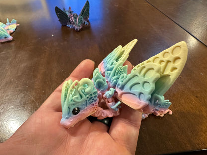 Baby Butterfly Dragon Fidget!